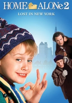 постер фильма Один дома 2