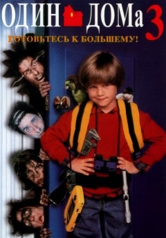 постер фильма Один дома 3